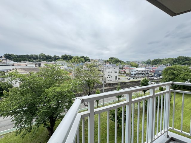 春には桜並木が一望できる素敵なお部屋です。