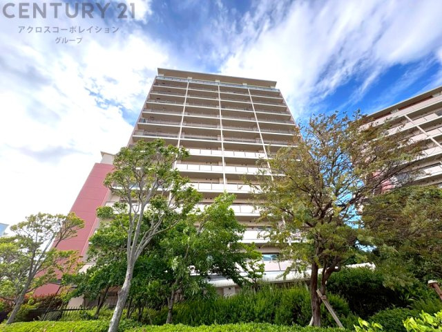 SRC造14階建て