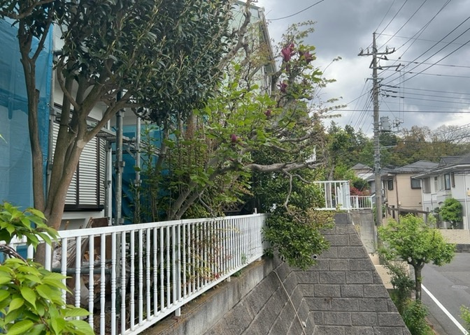庭があることでガーデニングや家庭菜園はもちろん、こどもの遊び場やペットを放して遊ぶことができます。また、家の周囲に余裕があるということです。隣地との間があれば、十分な日当たりと、風通しが確保できます。