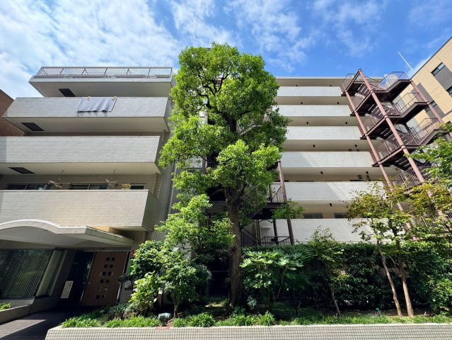 豊かな植栽に寄り添うマンション外観。築年数を感じさせすぎない、落ち着いた佇まいが街並みに馴染みます。