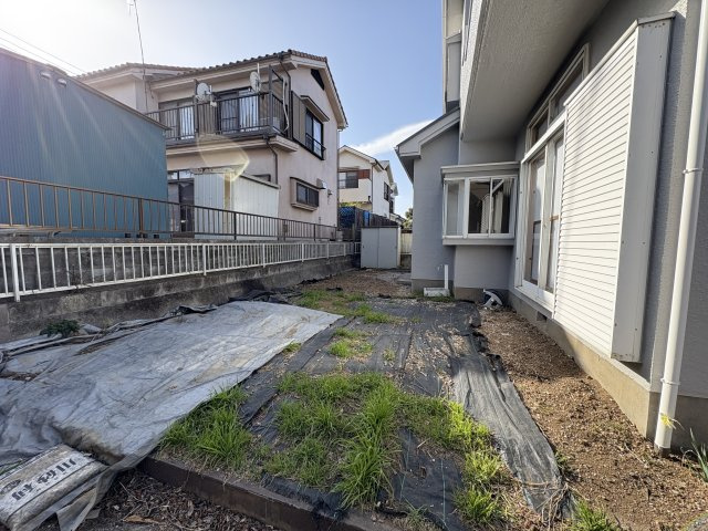 庭