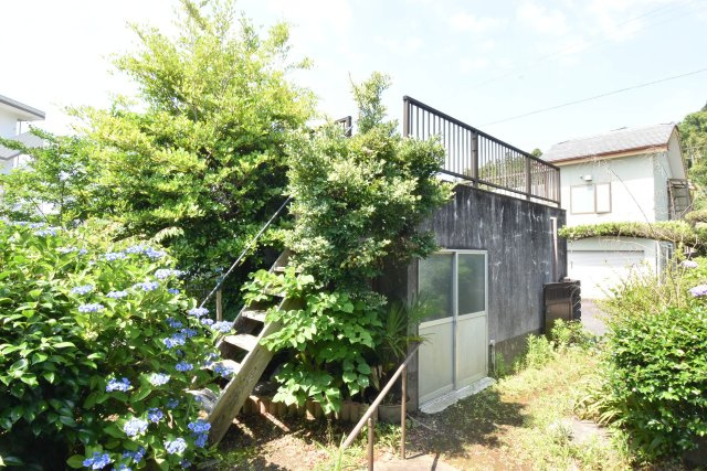 庭