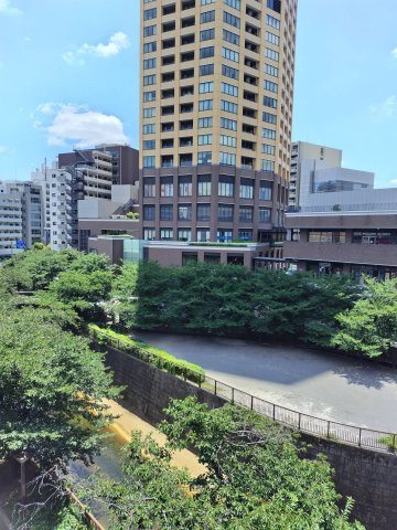 外観：313004701250