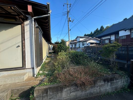 庭