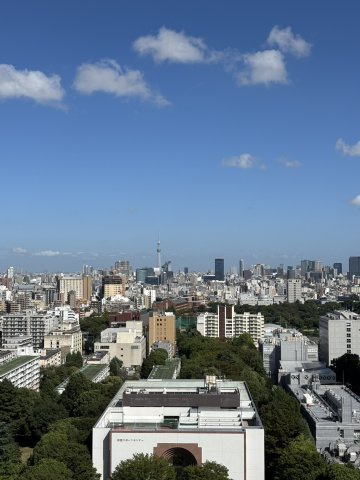 スカイツリーが望めることも！