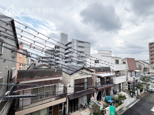 2026年3月撮影
