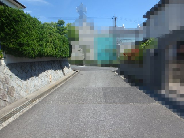 南西側