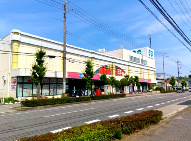 日々の生活に欠かせないスーパーマーケットが近隣にございます。　コープ　安倉まで約450ｍの場所にあり、徒歩、自転車でお買い物ができます。