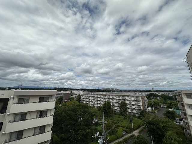 あいにく空模様の撮影でしたが、晴れの日は青く澄み渡った大空が広がっています。