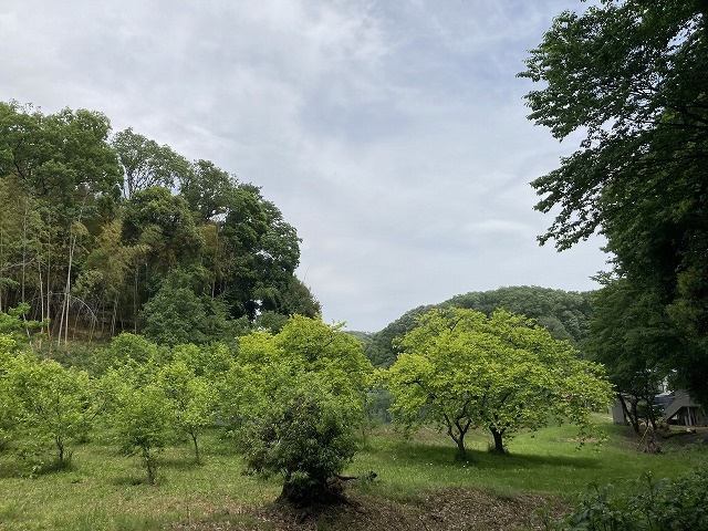 展望