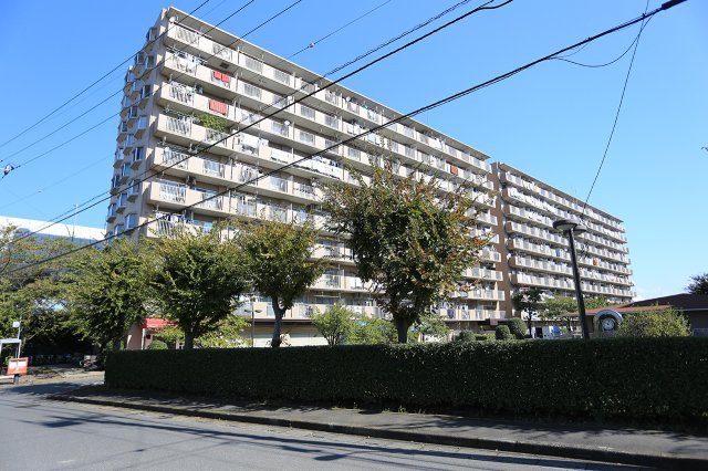 外観：311002305172