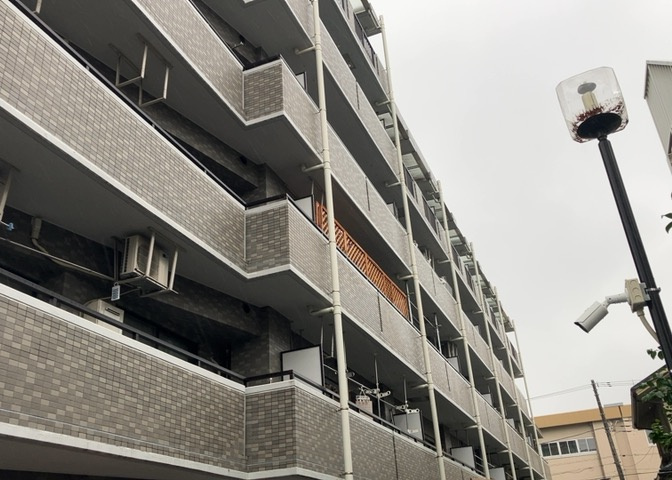 外観：313004664082