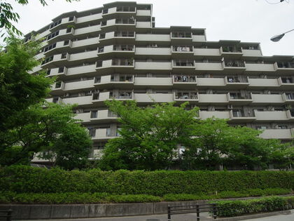 外観：328000656555
