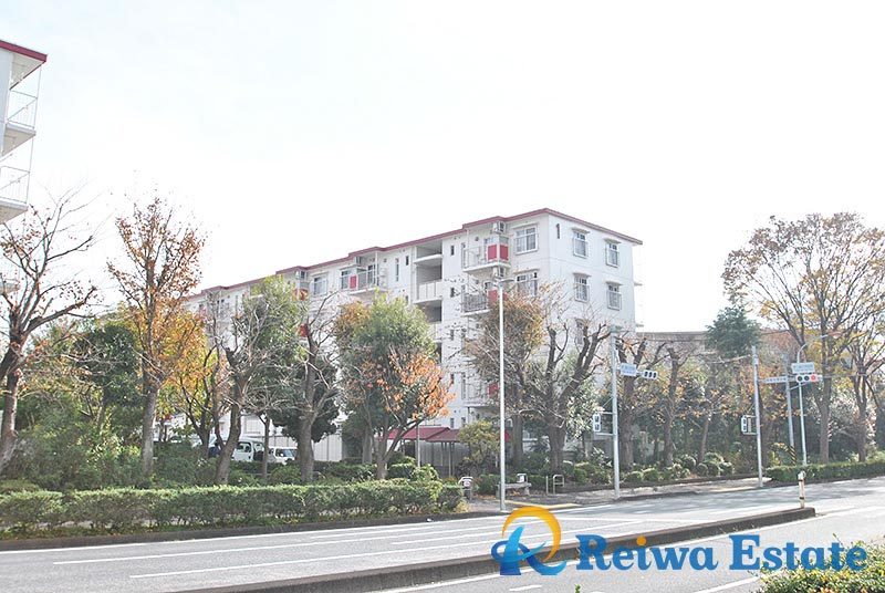 外観：314002716453