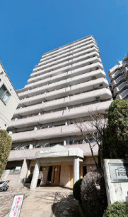 外観：313004696751