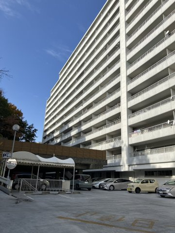 外観：323000511542