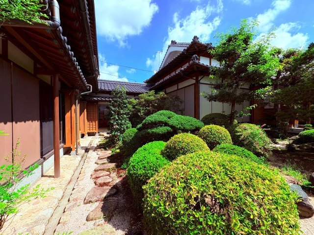 庭