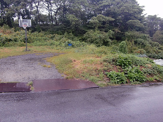 外観：320000026945