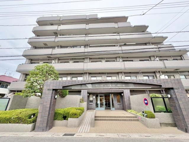 外観：311002343445