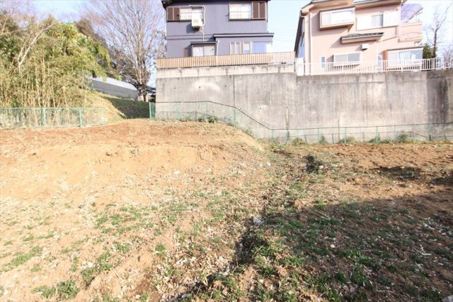 撮影日(2023年3月)