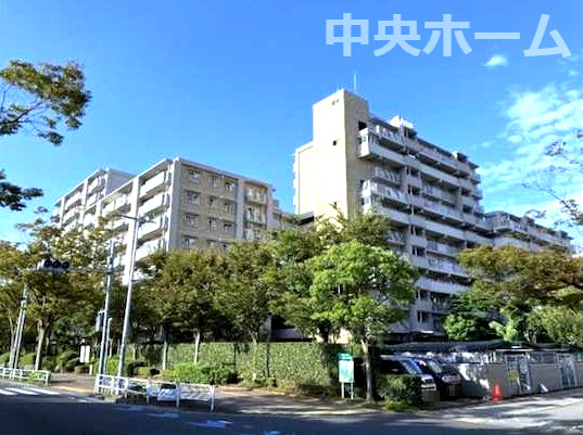 外観：313004636966