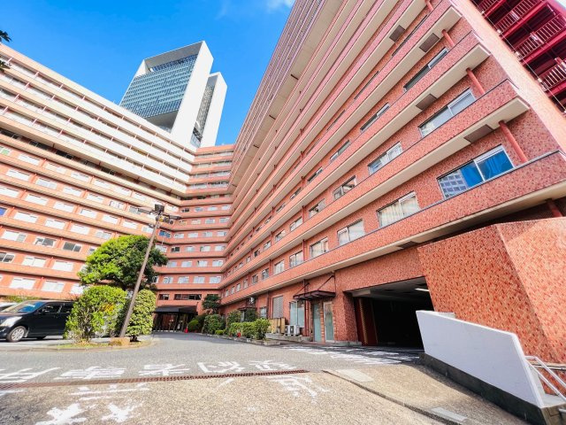 外観：313004561496