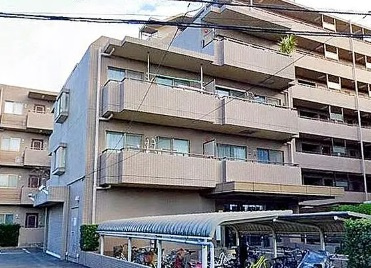 外観：313004709989