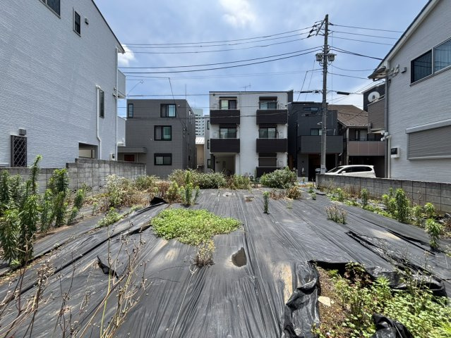 2026年6月19日撮影
