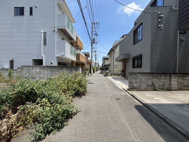 2026年6月19日撮影