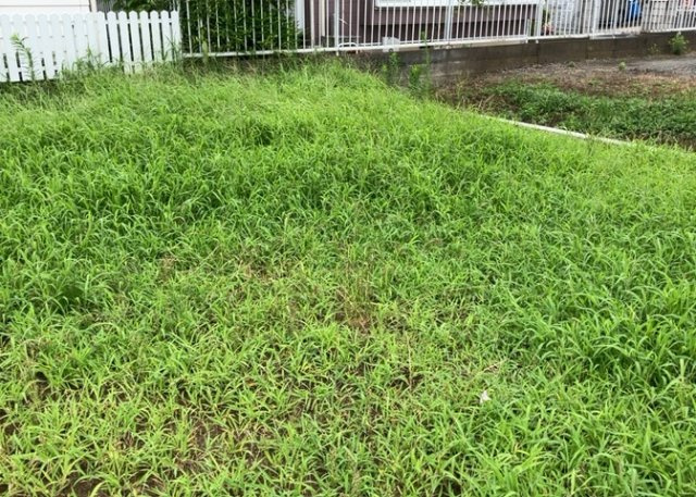 土地の前の道路に消火栓が設置されていることがあります。この場合、道路交通法第45条第1項により、駐車禁止の場所が指定されています。そのため、車庫などの駐車スペースをつくることができない場合があります。