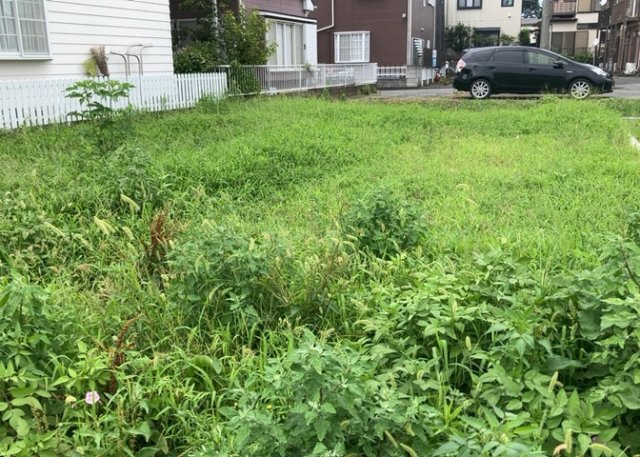 外観：314002369206