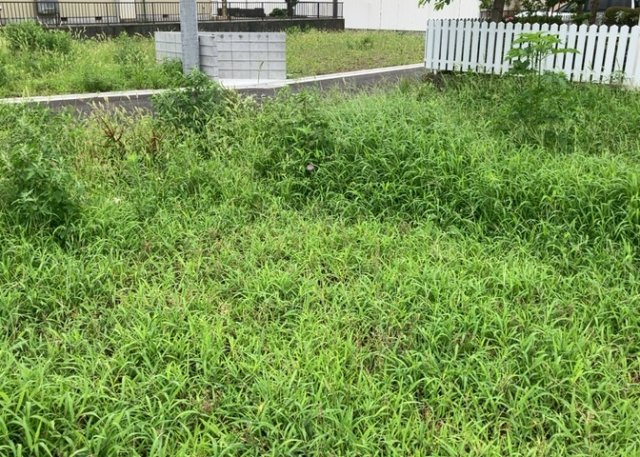家を建てる前提で土地を探している場合、地盤の丈夫さは譲れない条件の一つです。地盤が脆弱だと追加工事が必要となります。また、過去に地盤沈下や液状化現象を起こした土地は、できるだけ避けた方がいいでしょう。