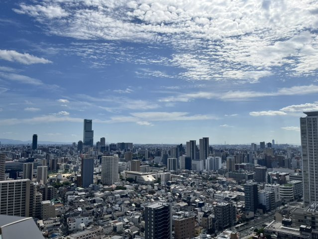 【物件からの眺望】29階からの眺望！周辺に高層建築物がないため、圧巻の眺望です◎
