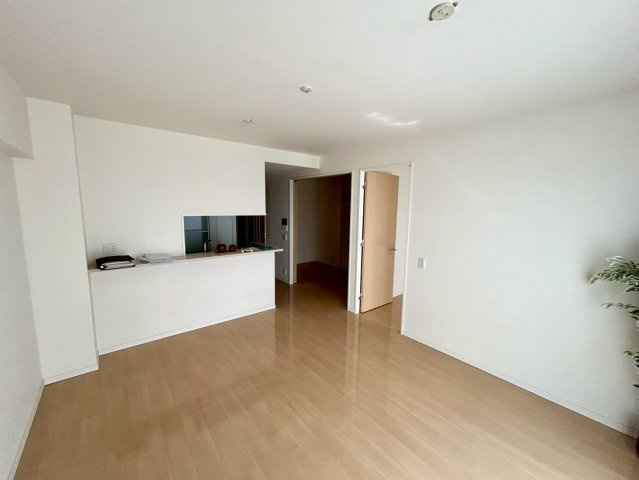 直線タイプはLとDKを一直線に並べた形で対面キッチンのタイプです。一般的なのでよく見かけるかもしれません。直線タイプに似た直接アイランドタイプは、キッチンとダイニングの間に壁がない分広く感じられます。
