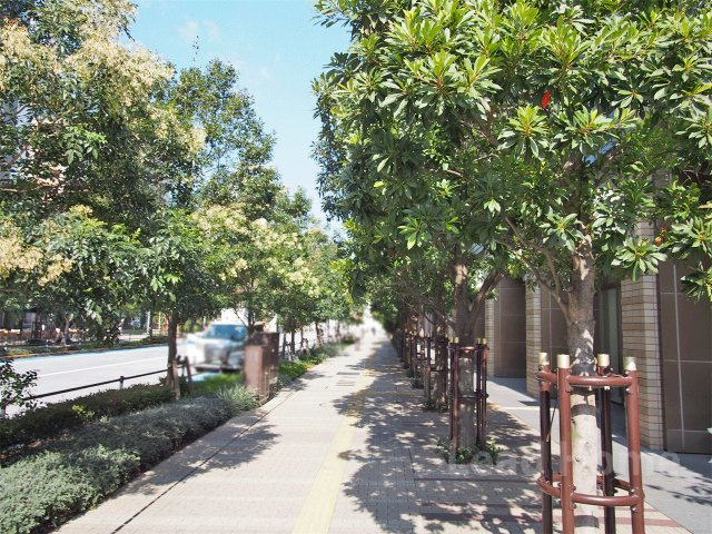 前面道路