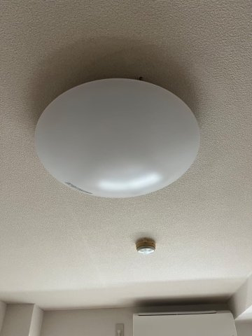 天井照明付き