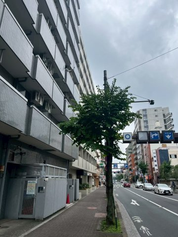エントランスは三鷹通り面にあります。中央通り商店街やコンビニにはすぐにでれて買い物便利です。