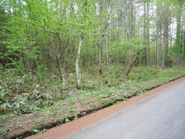 外観：320000026856