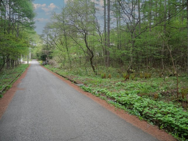 前面道路含む現地写真