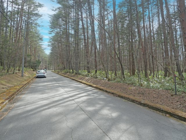 北東から