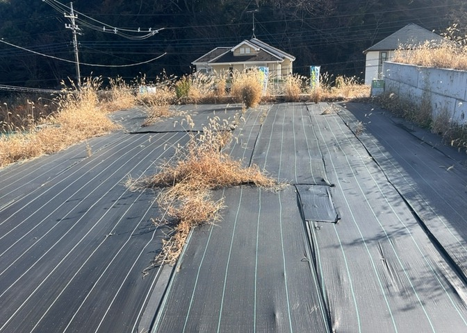 人が暮らすうえで日光は大切な要素となります。日当たりの良さは譲れないポイントですね。併せて近くに大きな建築物の建築予定がないか、あるいはそれが可能な土地が近くにないか事前に確認することもお勧めします。