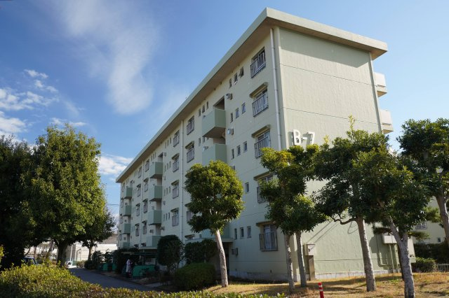 外観：312001078856