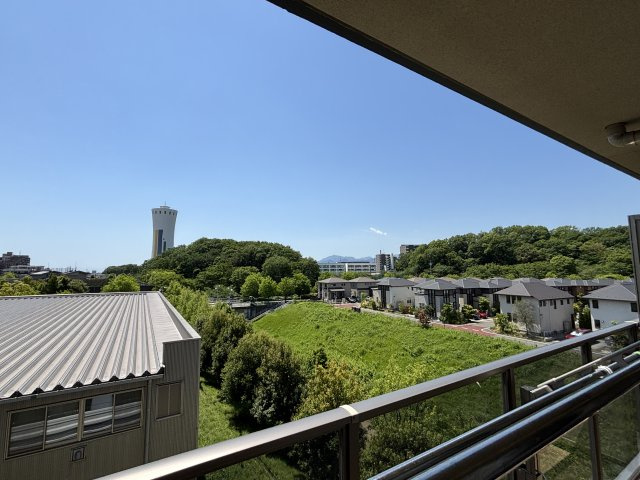 展望