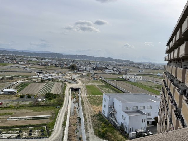 展望