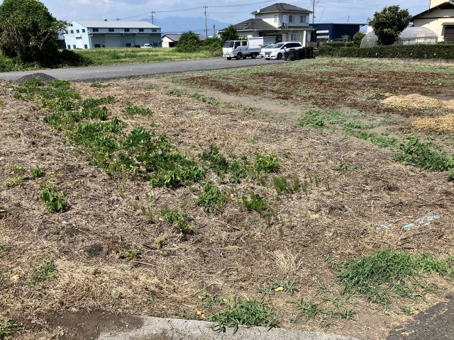 外観：310000078697