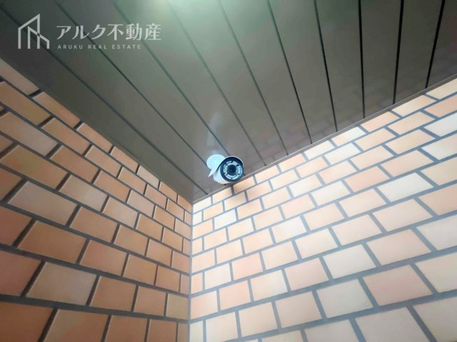 2026年6月撮影