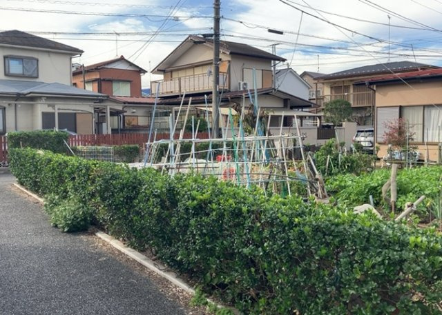 外観：313004491447