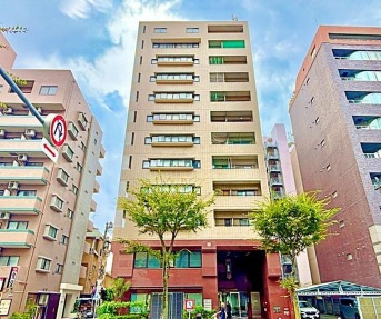 外観：313004894537