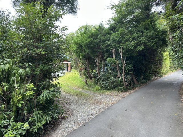 前面道路です　