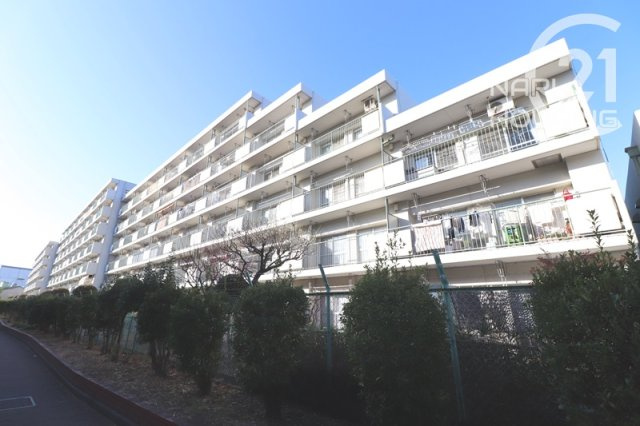 外観：313004680344